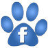 Facebook LeChatPacha