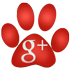Google+ LeChatPacha